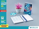 Pack Startup